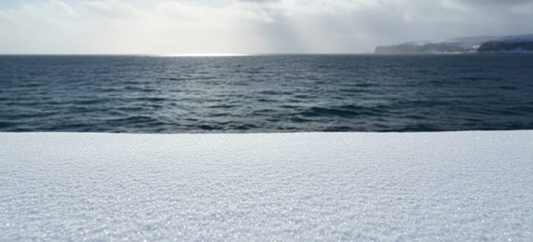 Sunlight reflecting off bright fresh snow transitioning to darker ocean water, illustrating high versus low albedo reflectivity.
