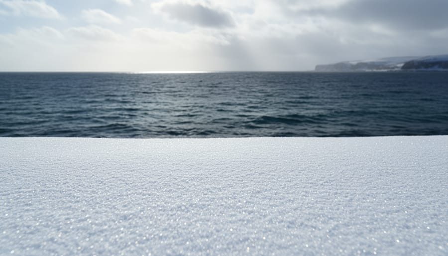 Sunlight reflecting off bright fresh snow transitioning to darker ocean water, illustrating high versus low albedo reflectivity.